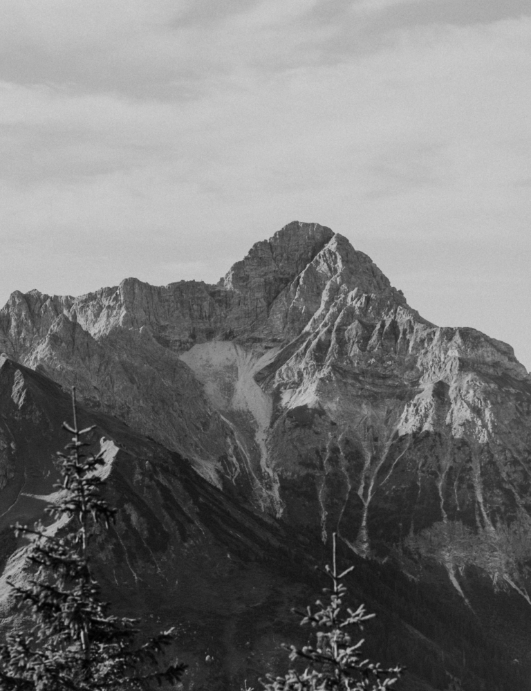 Berge hinter Tannen in schwarz-weiß