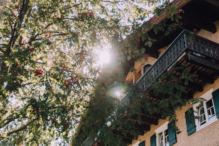 Stammhaus von unten durch Bäume fotografiert, Sonne scheint durch Blätter