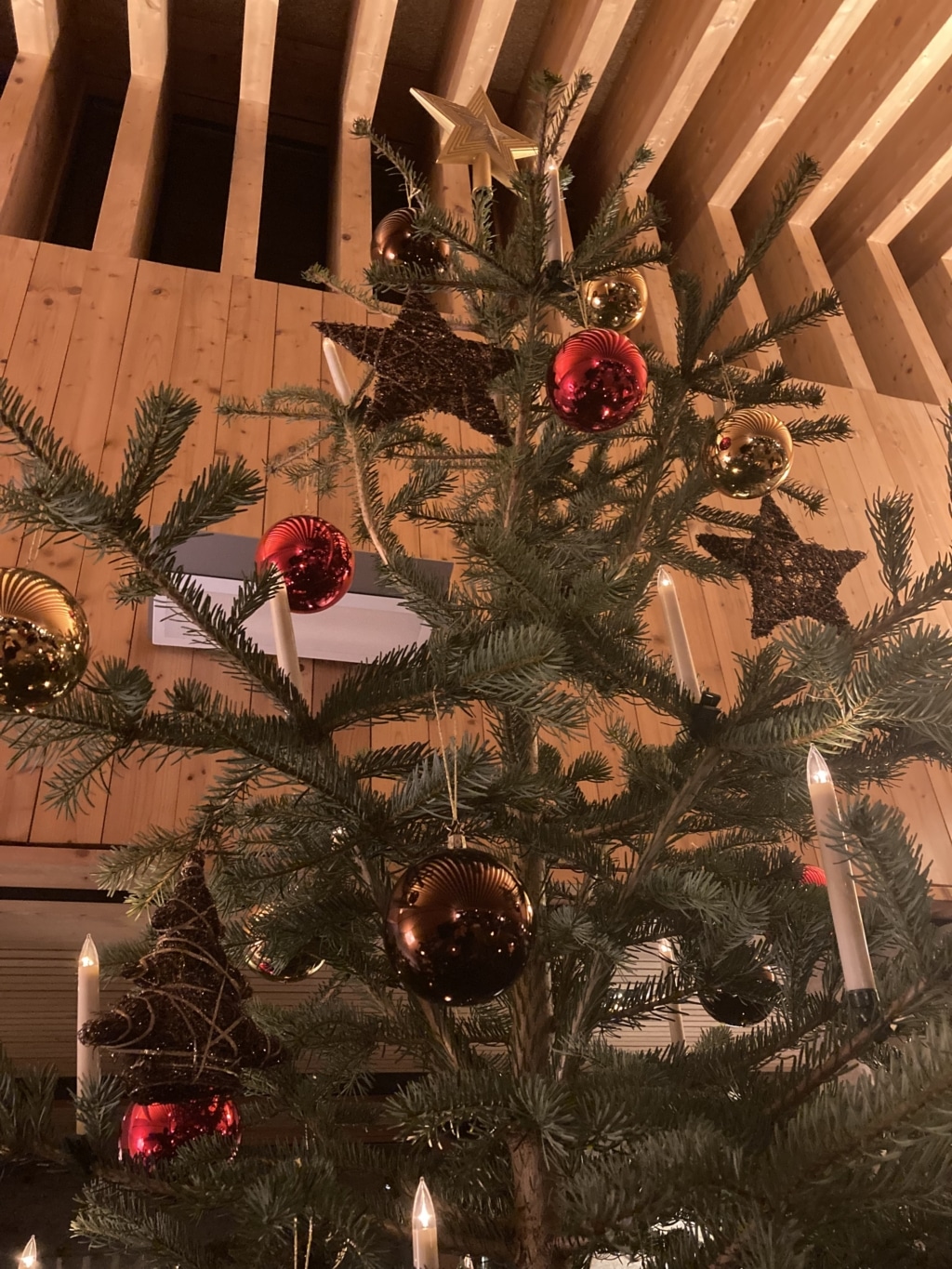 Weihnachtsbaum Chesa Valisa