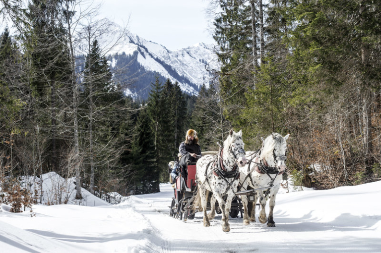 Pferdeschlitten Kutsche im Kleinwalsertal fährt durch Winter Wald
