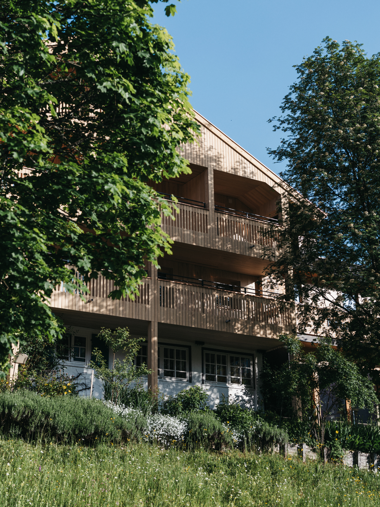 Stammhaus mit Kastanienbaum und Terrasse